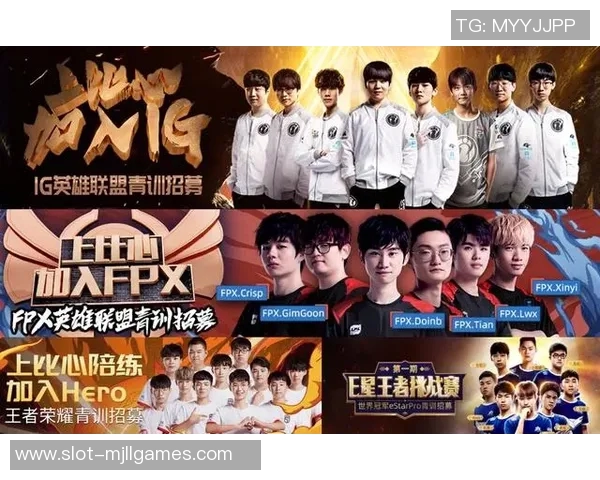 电竞数据王者荣耀深度解析IG战队选手个人能力与团队协作的完美结合